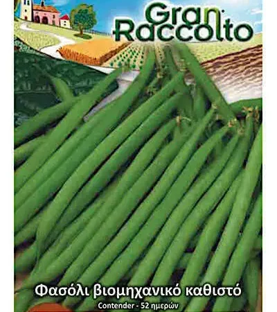 Gemma Φασόλι Τσαουλί Βιομηχανικό Αμερικάνικο Νάνο Καθιστό