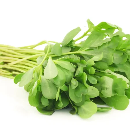 Γλυστρίδα 1γρ