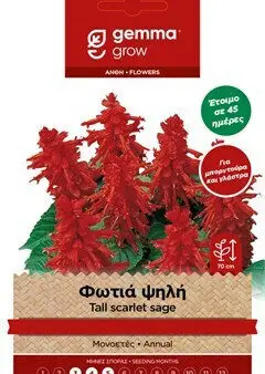 Gemma Σπόροι Φωτιάς