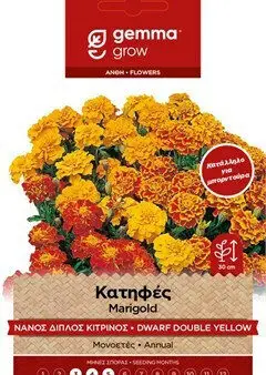 Gemma Σπόροι Κατηφές Κίτρινο