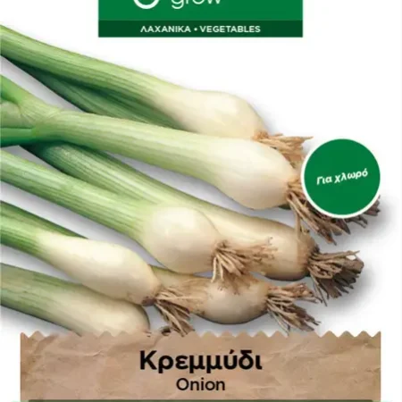 Gemma Βολβoί Κρεμμυδιού 4.5gr