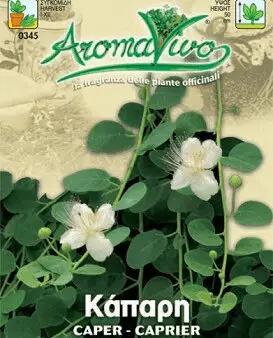 Gemma Σπόροι Κάπαρη