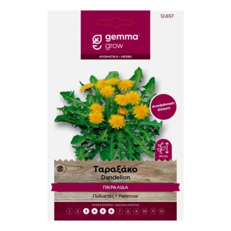 Σπόροι Ταραξάκο Κίτρινο