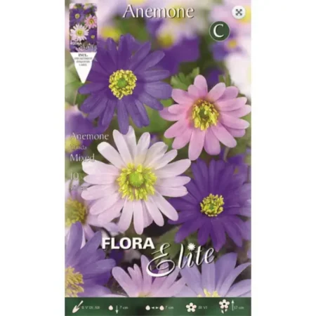 Ανεμώνη Blanda Μίγμα