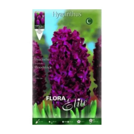 Ζουμπούλι Woodstock