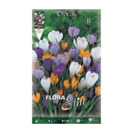 Κρόκος Γίγας Μίγμα