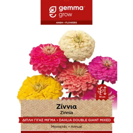 Ζίννια Διπλή Γίγας Μίγμα