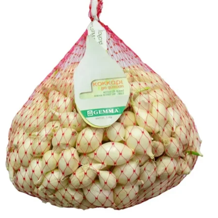 Gemma Snowball Βολβός Κρεμμυδιού Λευκό