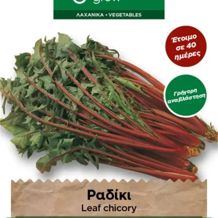Gemma Σπόροι Ιταλικό Ραδικι 4gr