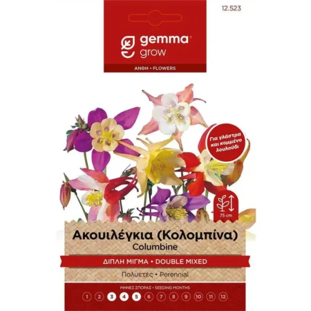 Gemma Σπόροι Ακουιλέγκιας