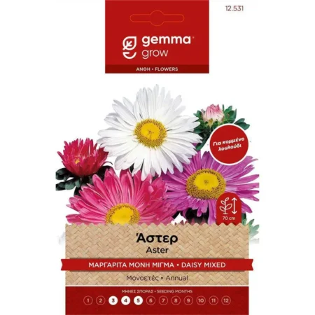 Gemma Σπόροι Άστερ 1gr Πολύχρωμο