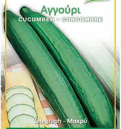 Gemma Μακρύ Σπόροι Αγγουριού 2gr
