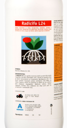 Radicifo-L24