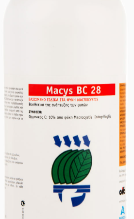 Macys-BC-28