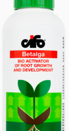 Betalga