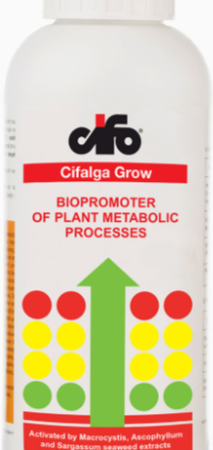 Cifalga-Grow