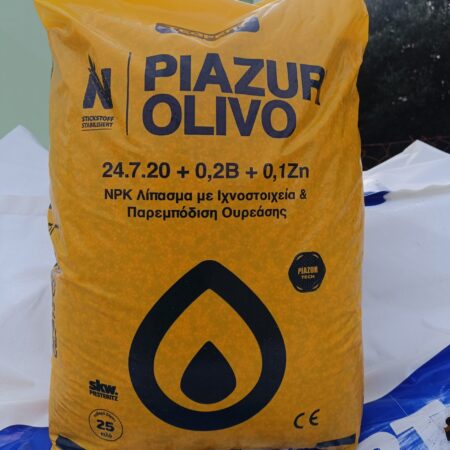 PIAZUR OLIVO