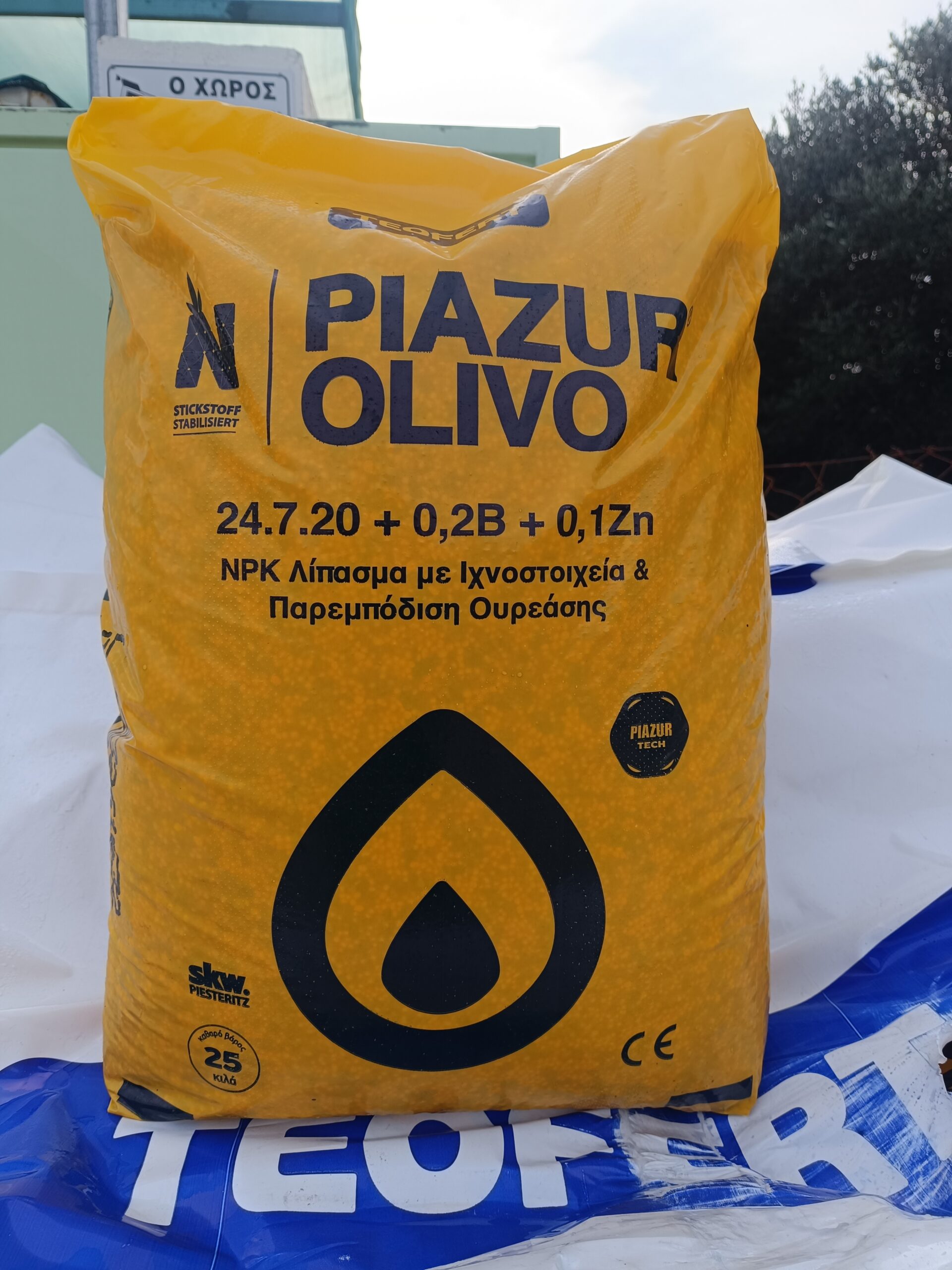 PIAZUR OLIVO